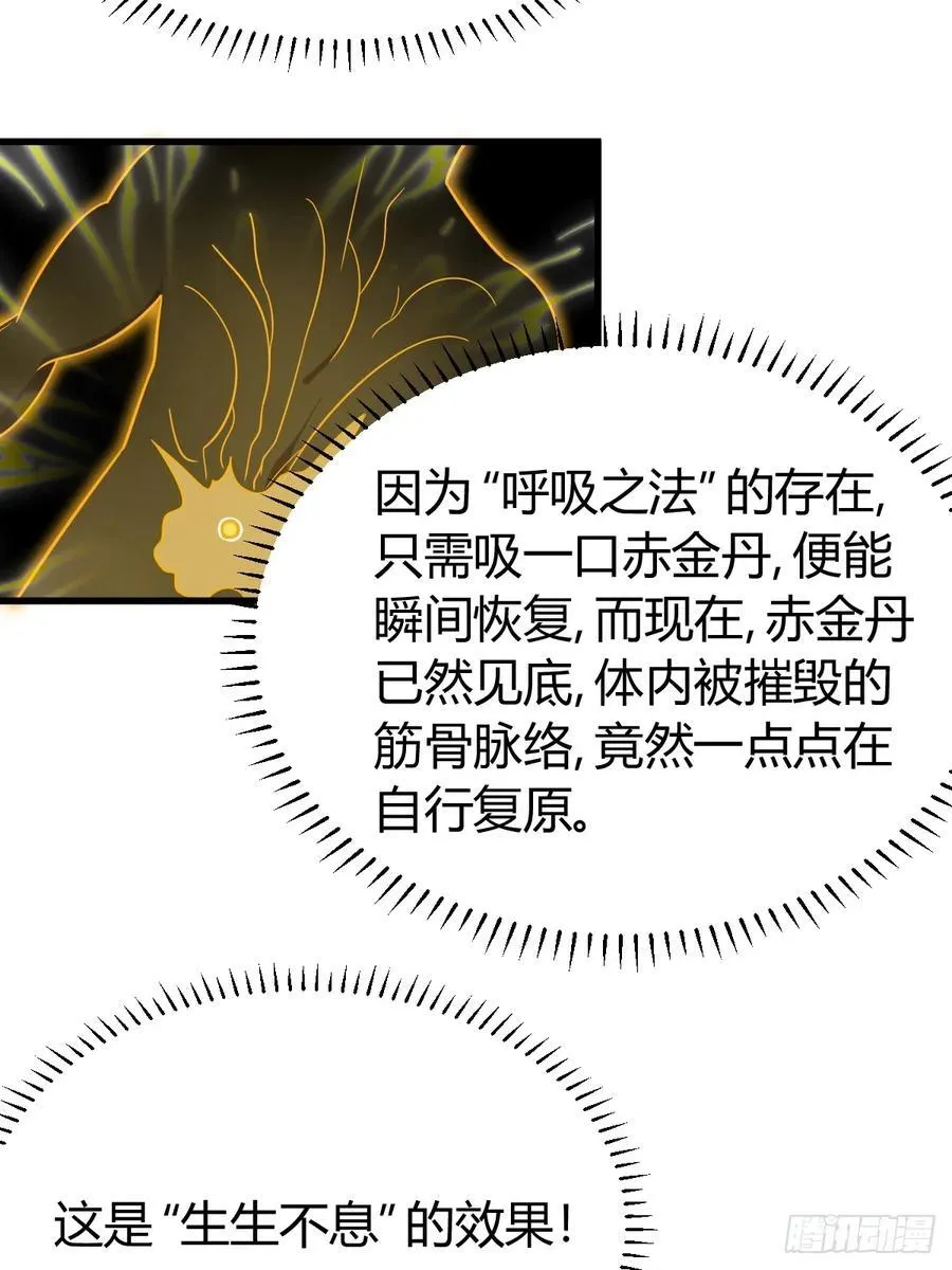 25 第50页