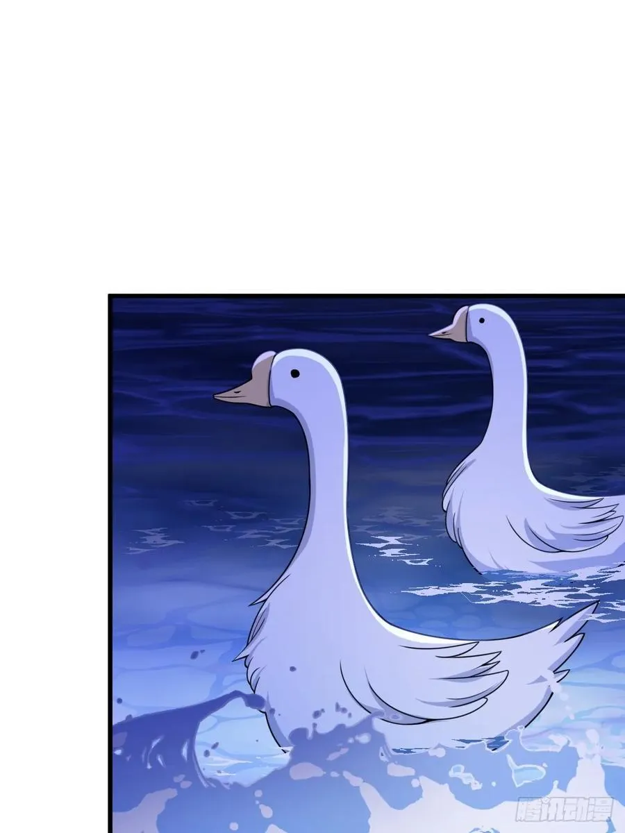 20 第12页