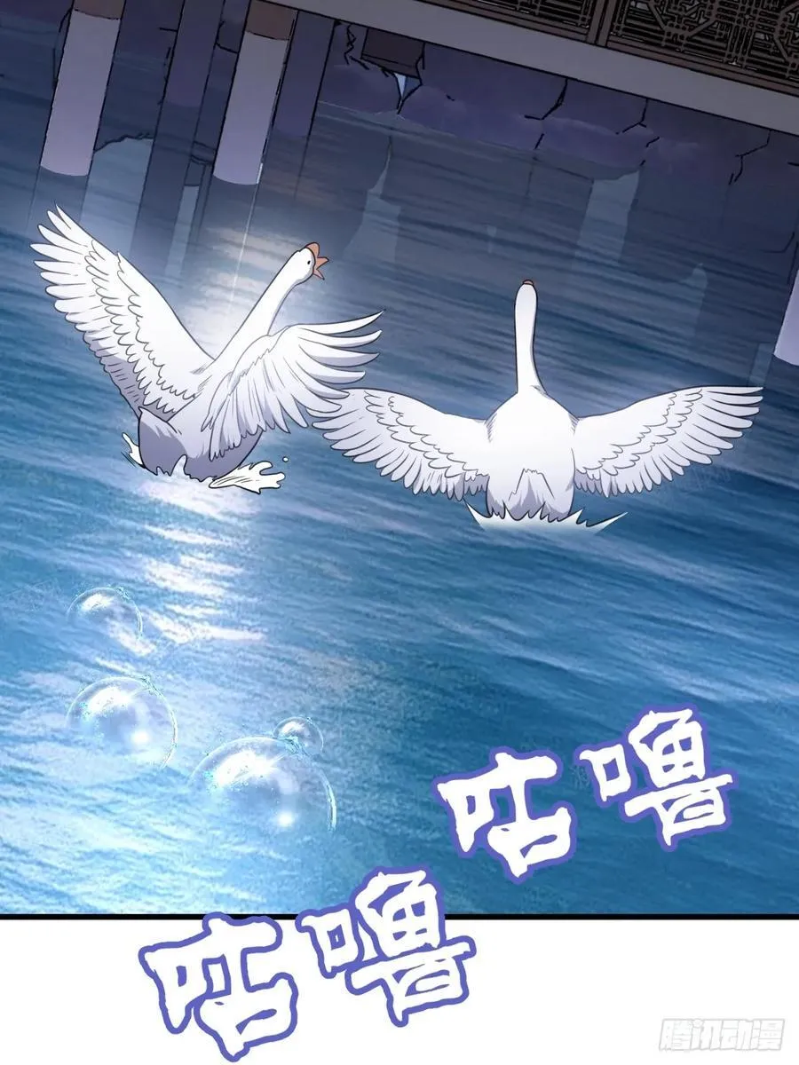 31 第35页