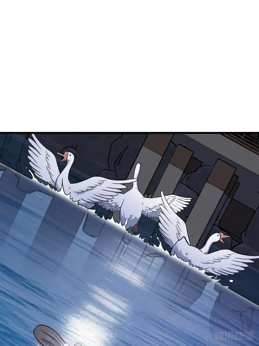 31 第42页
