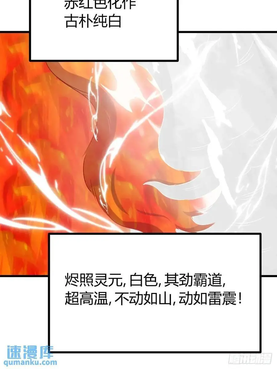 62 第48页