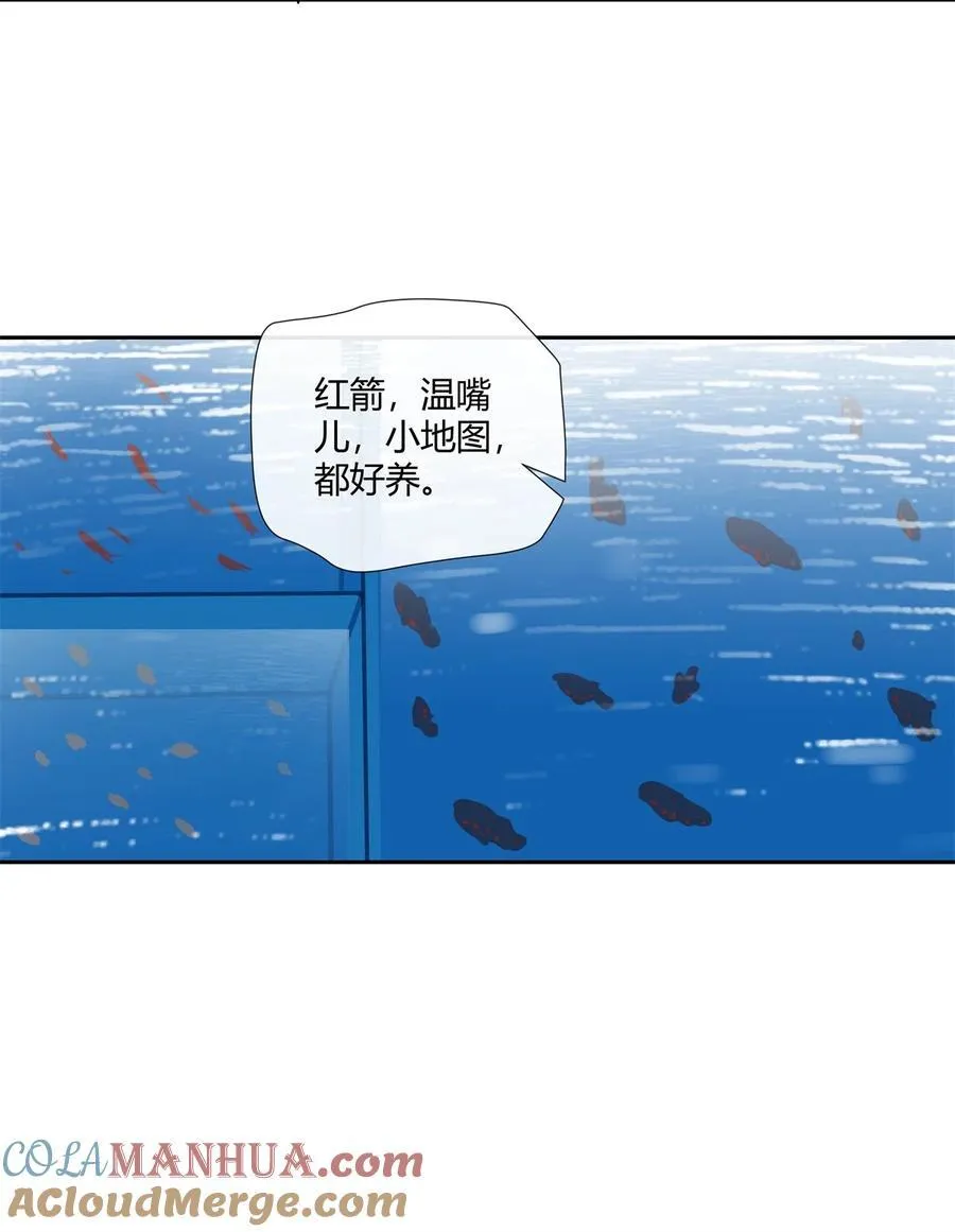 75 来踢馆 第15页