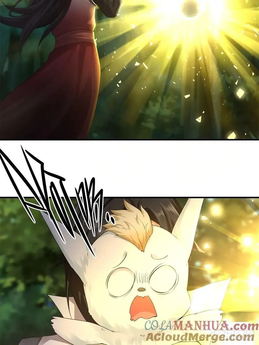 71 第29页