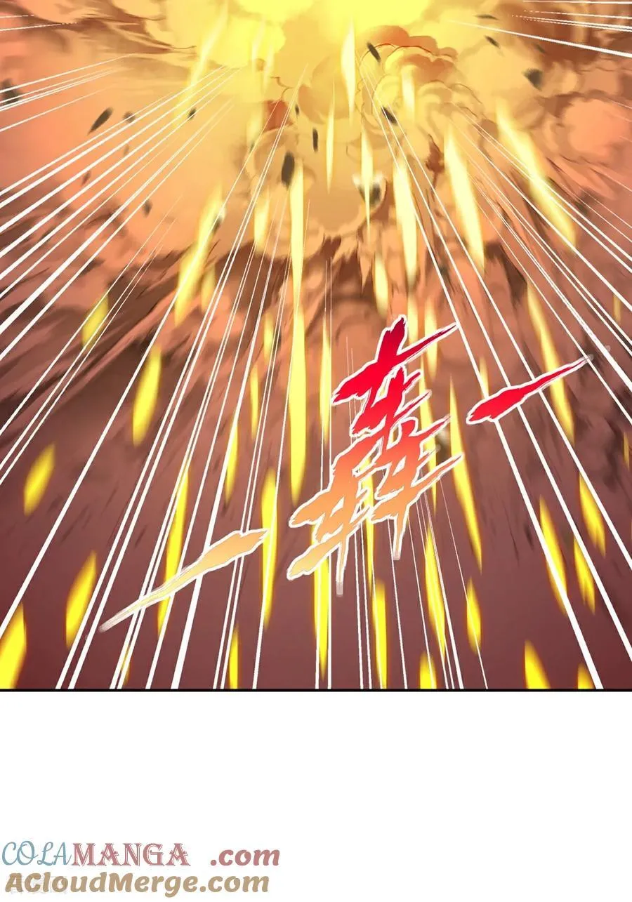 第202话 雷火炮 第3页
