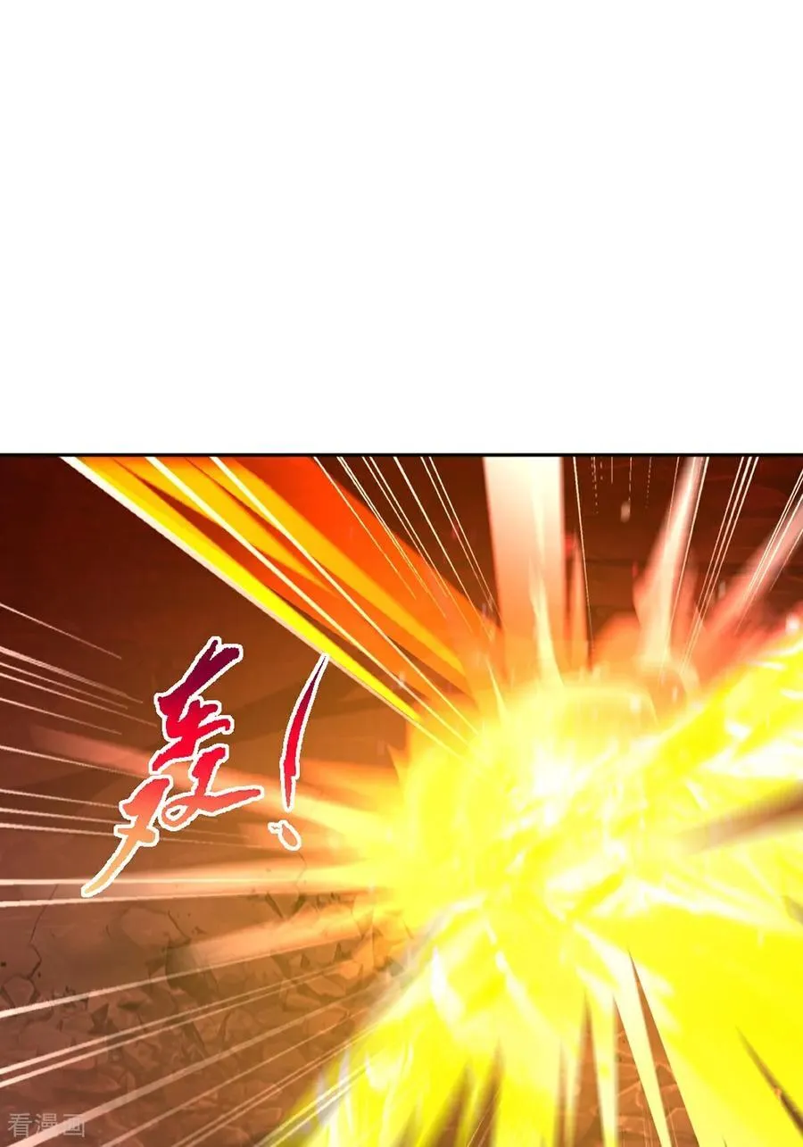 第202话 雷火炮 第16页