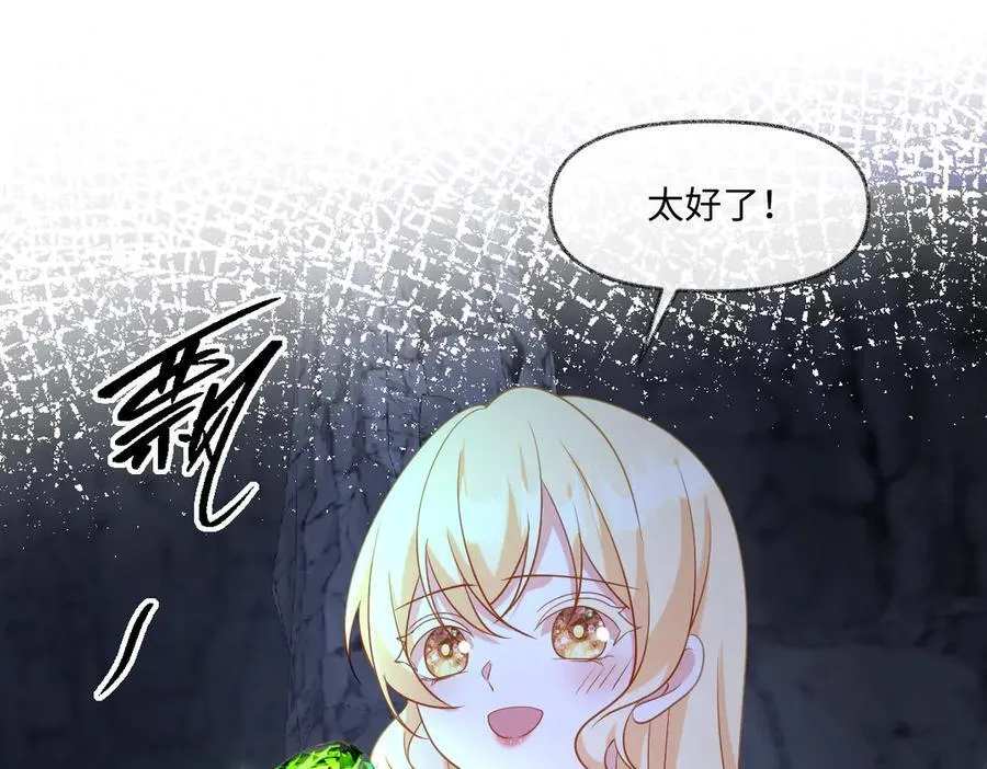 第45话 治愈宝石 第67页