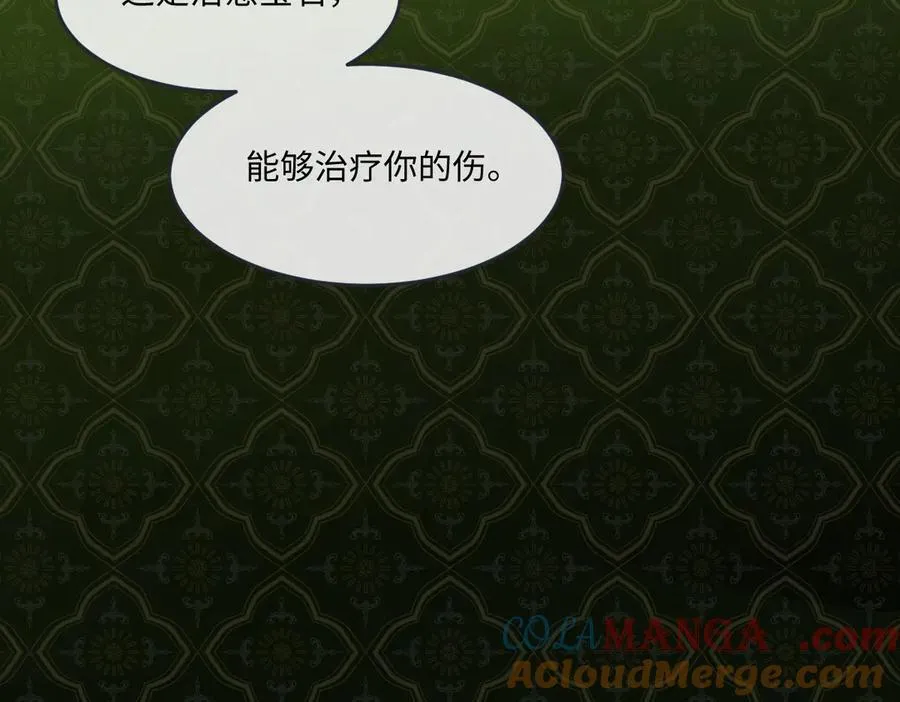 第45话 治愈宝石 第113页