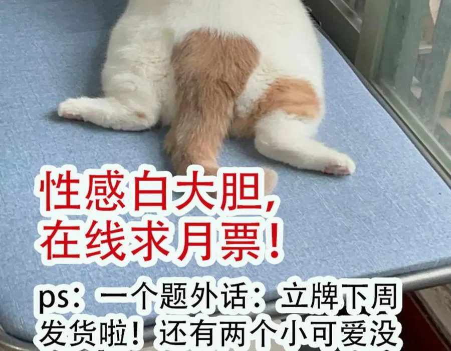 第83话 你不曾爱过我 第90页