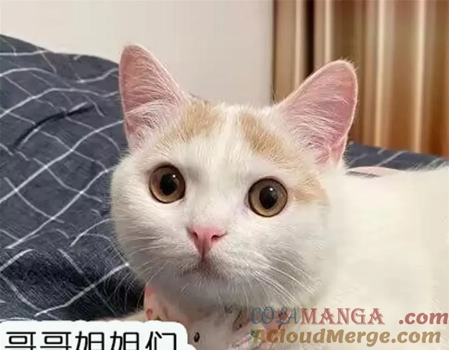 第88话 依法逮捕 第85页
