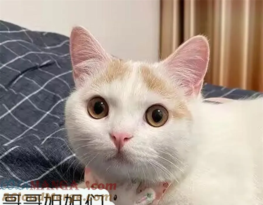 第97话 宿命钻戒的另一半 第67页