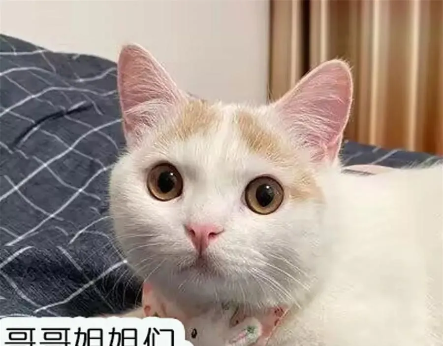 第118话 等我回来 第66页