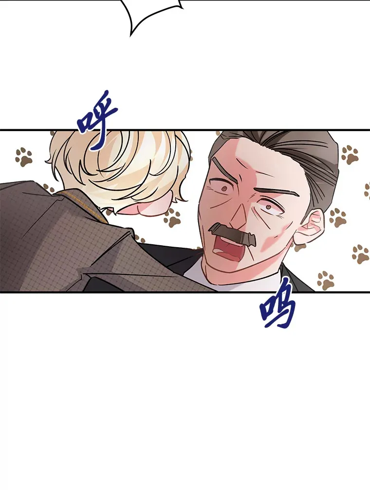 4.纺织物商团 第77页
