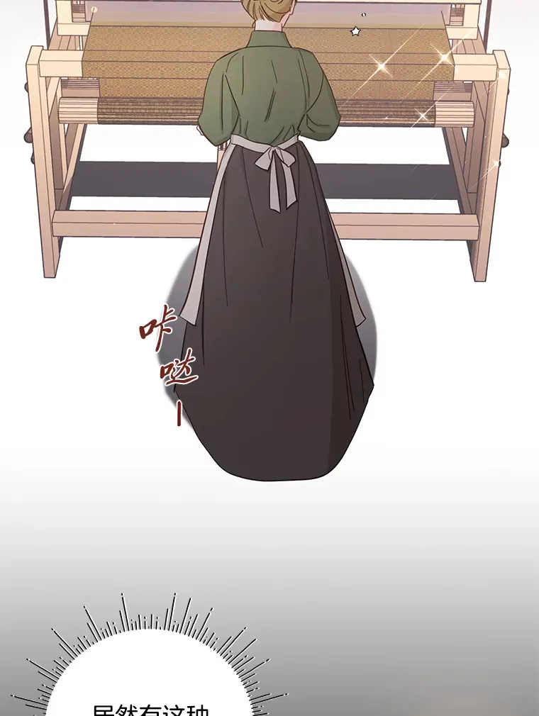 4.纺织物商团 第114页