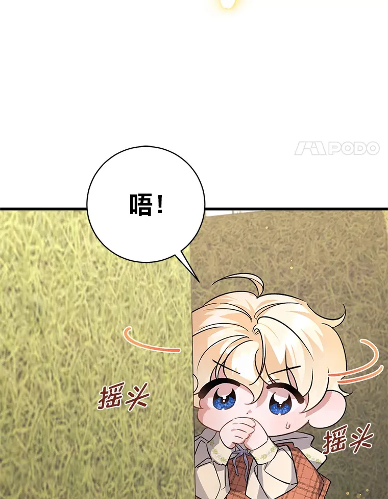 10.白天鹅女王的巢 第4页