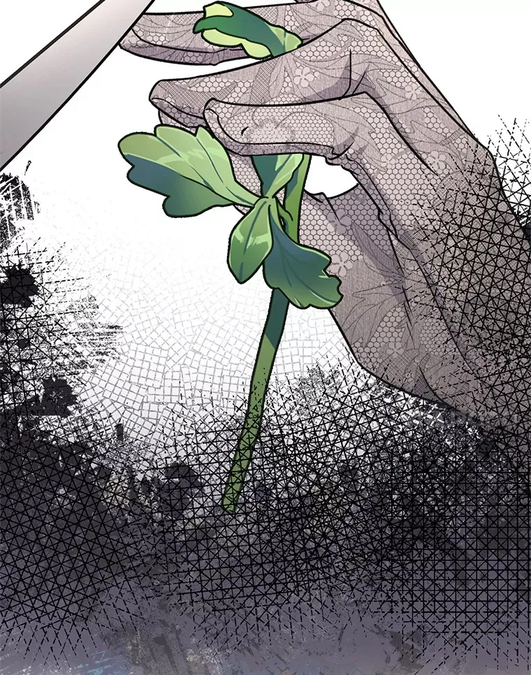 19.不简单的女人 第82页