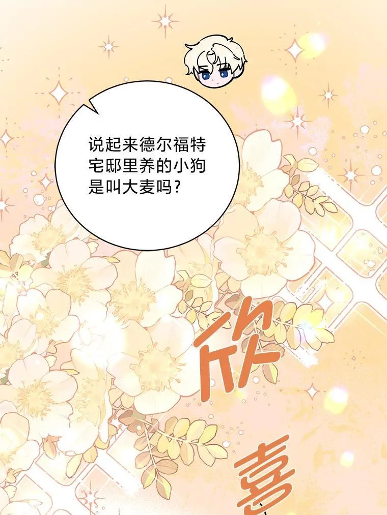 42.有预谋的绑架 第13页