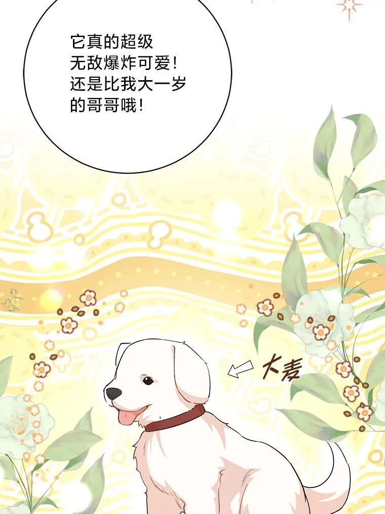 42.有预谋的绑架 第16页