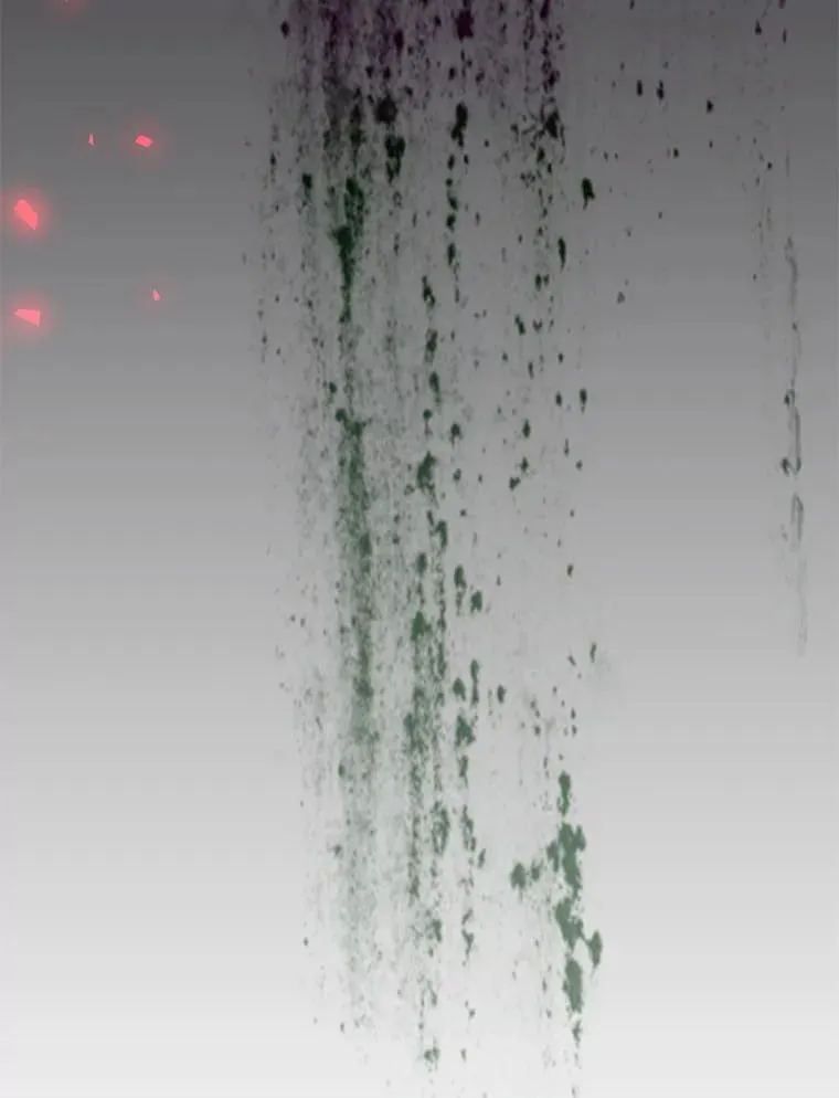 48.丽娜的散步邀请 第133页