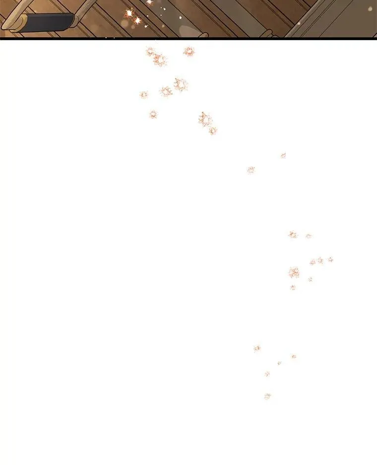 55.结婚晚宴 第66页