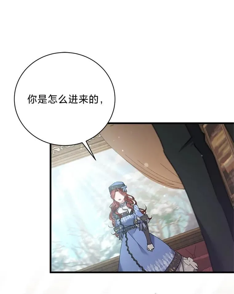 60.鲁登道夫 第119页