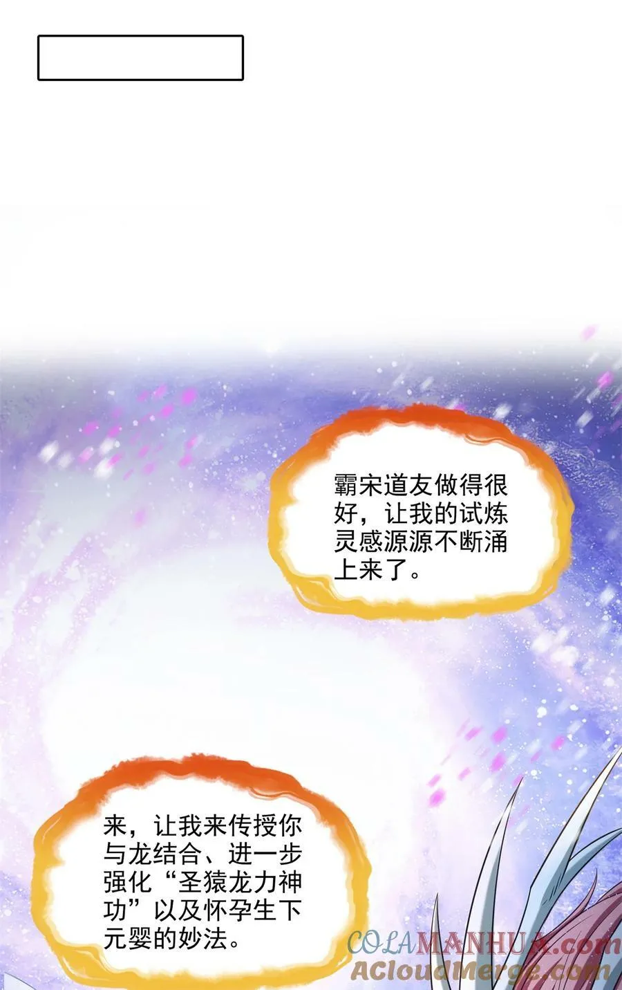594 转接斑纹龙TWO 第17页