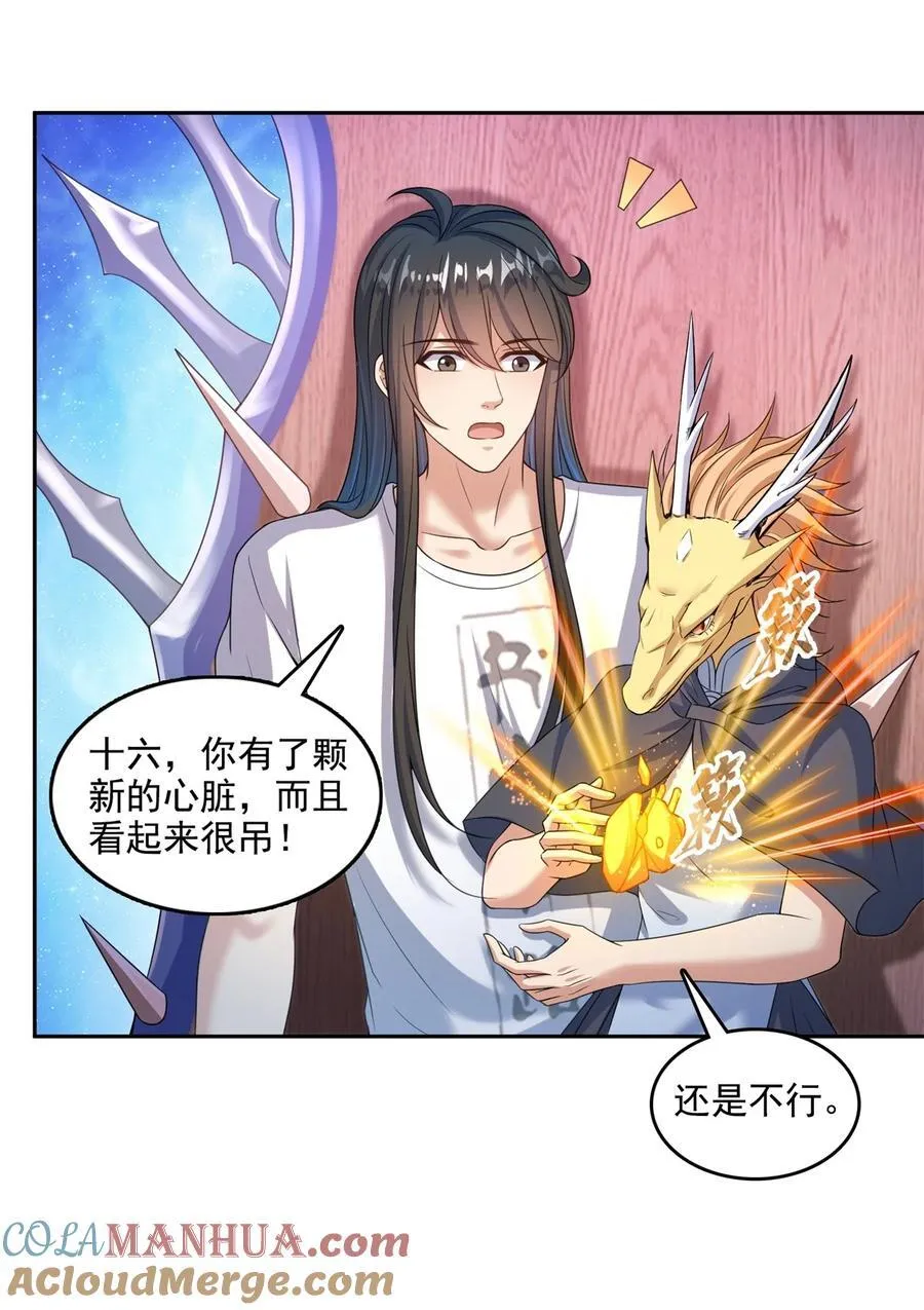 612 心脏封印法器 第15页