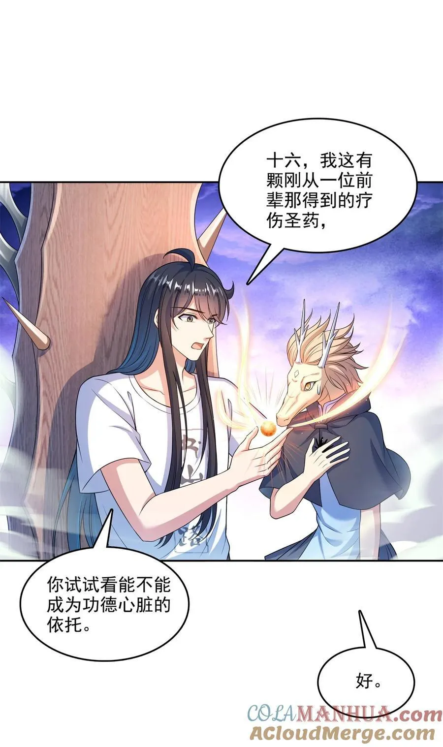 612 心脏封印法器 第19页