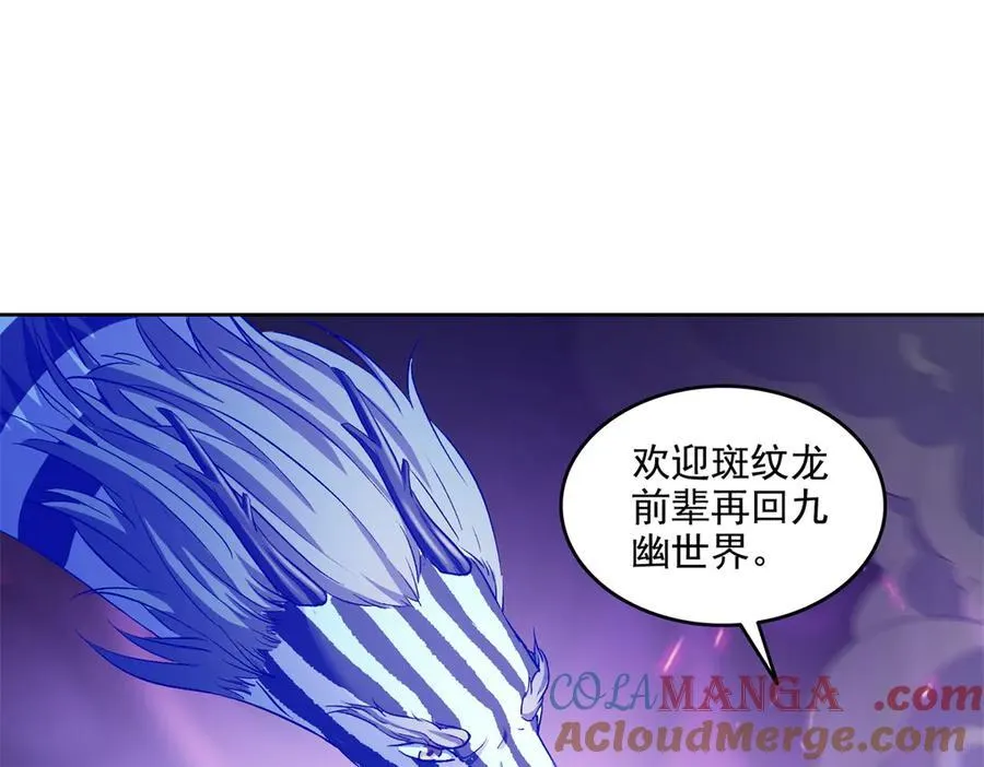 689 欢迎斑纹龙前辈再回九幽世界 第40页