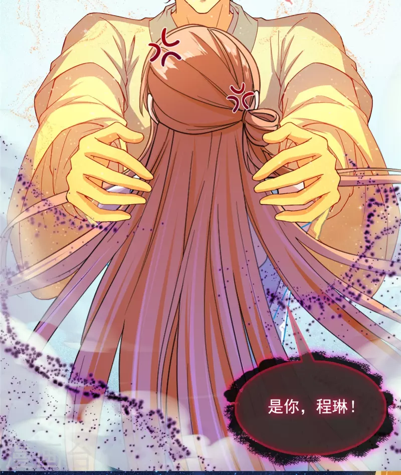 第455话 朕要封你为霸妃 第29页
