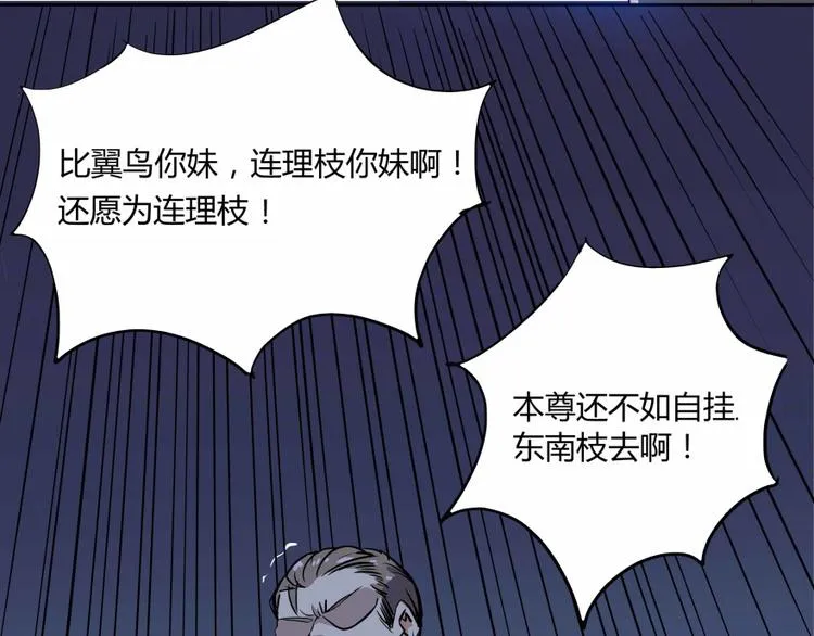 第02话 且待本尊算上一卦 第113页