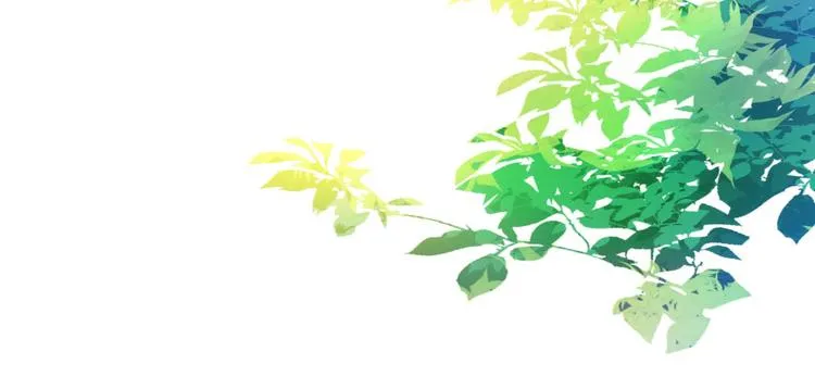 第21话 筑基功法 第53页