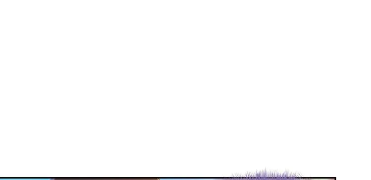 第33话 亚军，是你的！ 第152页
