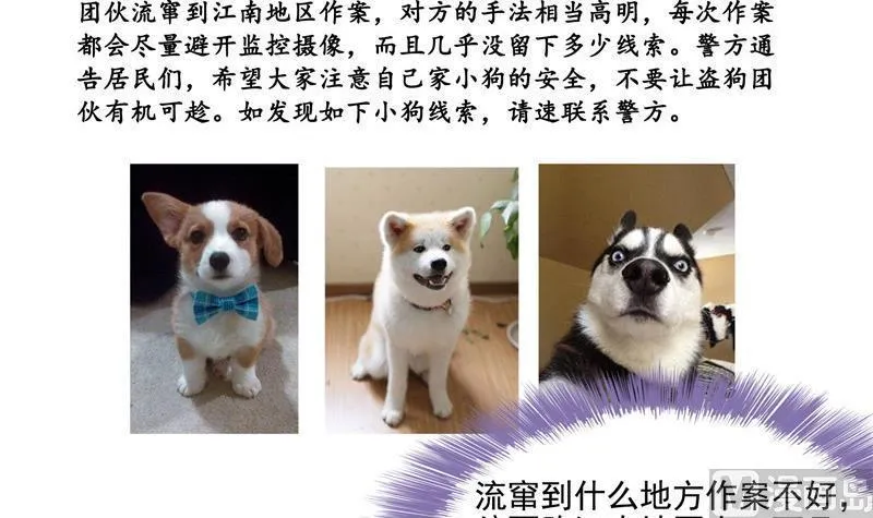 第107话 白前辈的自拍 第75页