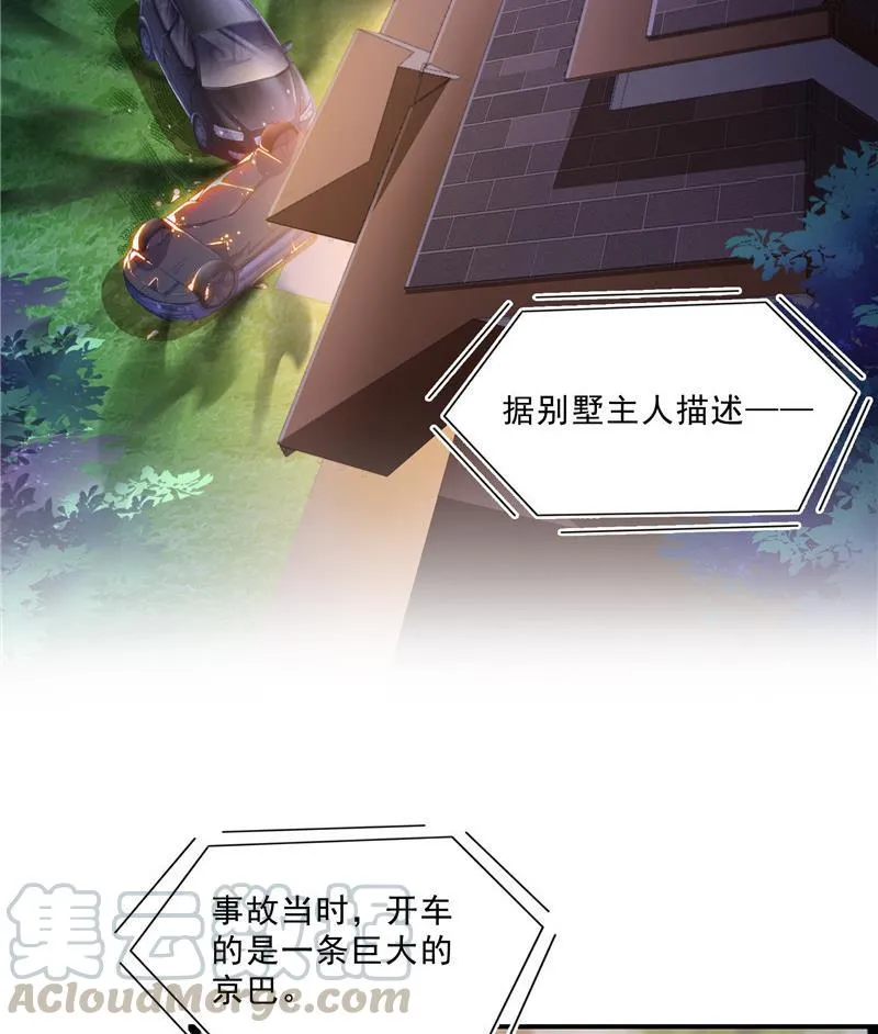 141 戴京巴面具的飙车分子！ 第70页