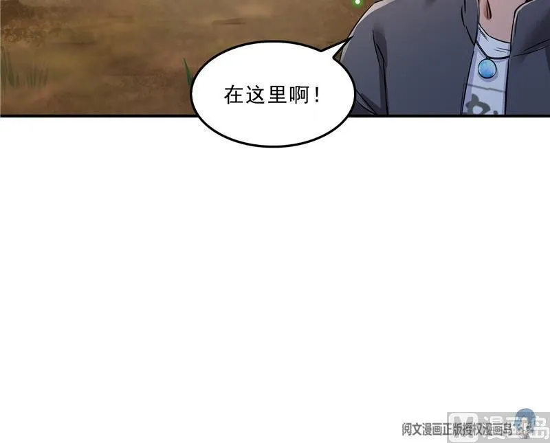 149 没想到你竟然逼我用这一招 第87页