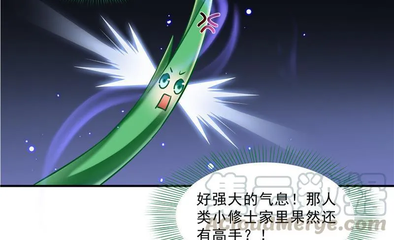 第151话 罢了罢了，切就切吧 第67页