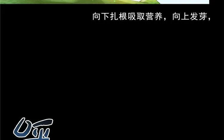 番外4 我是一根葱 第37页