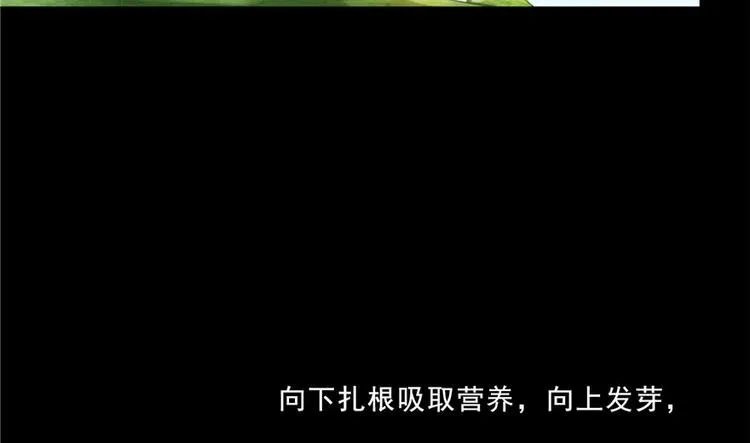 番外4 我是一根葱 第65页