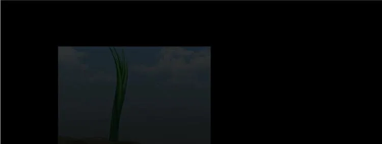 番外6 变成葱精 第64页