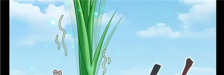 番外6 变成葱精 第71页
