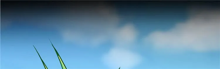 番外6 变成葱精 第74页