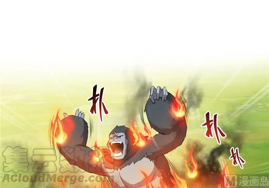 第175话 学霸级大猩猩 第40页