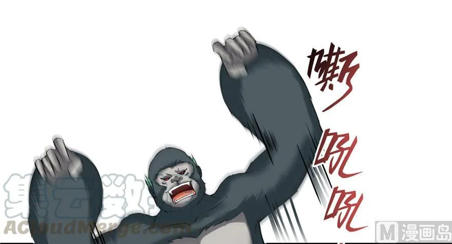 第176话 体操明猩 第1页