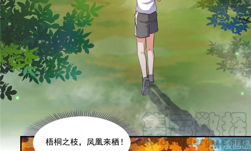 第187话 去见灵兽前辈 第40页