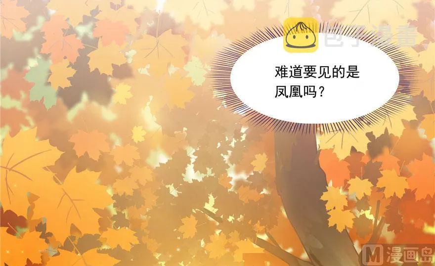 第187话 去见灵兽前辈 第42页