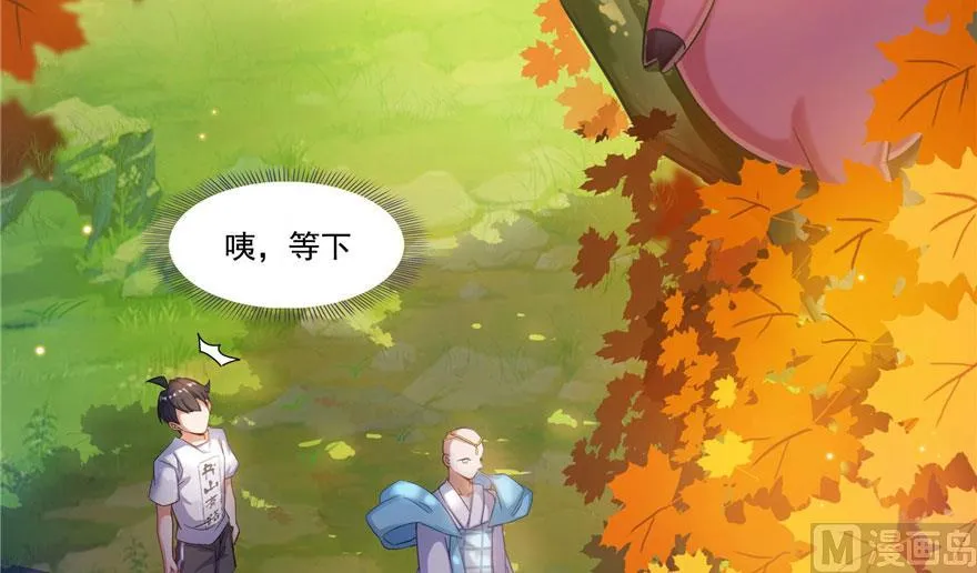 第187话 去见灵兽前辈 第44页