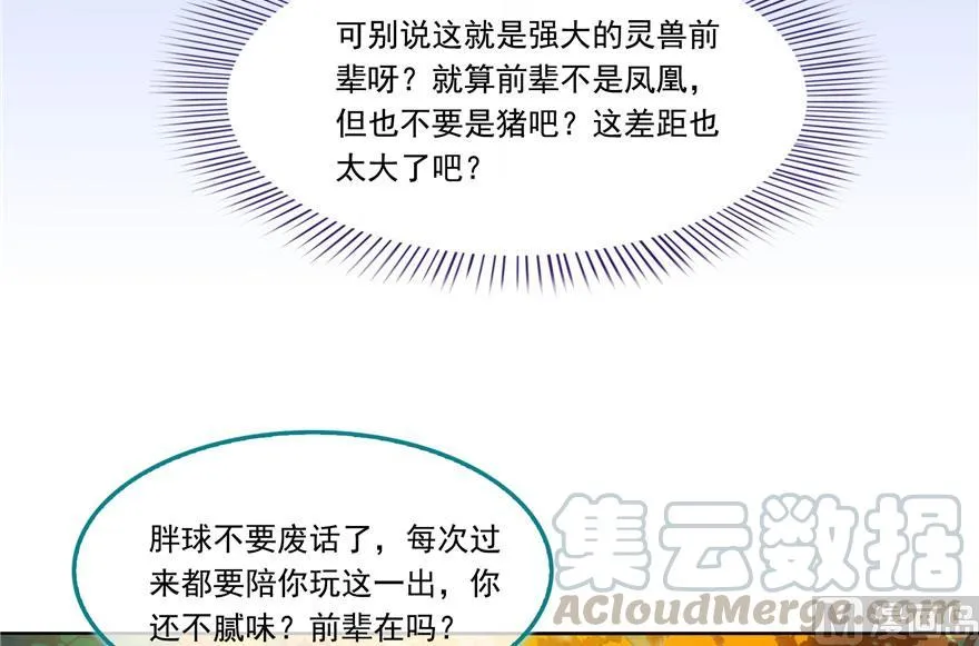 第187话 去见灵兽前辈 第58页