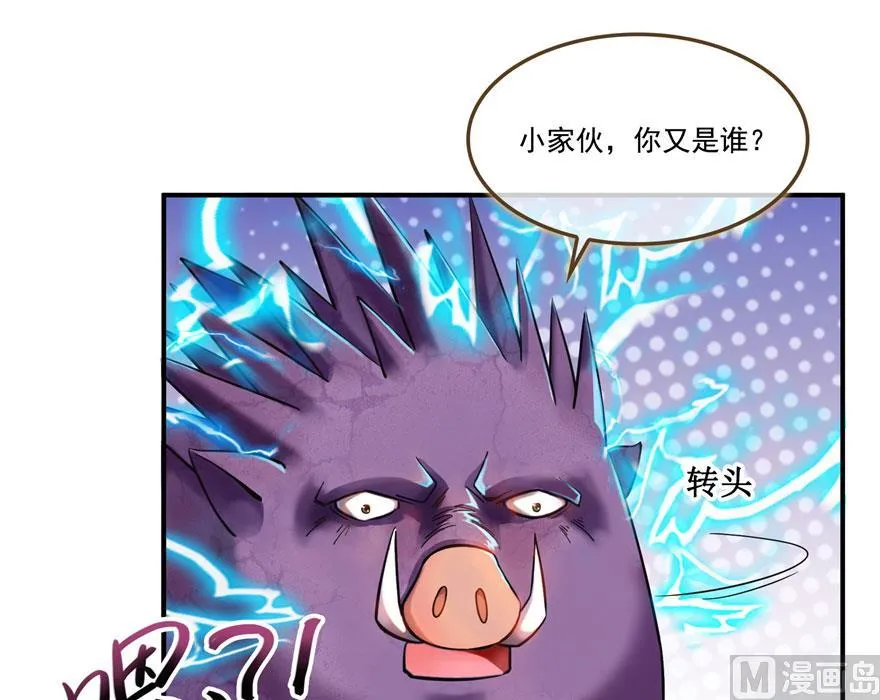 第188话 患了绝症的灵兽前辈 第62页