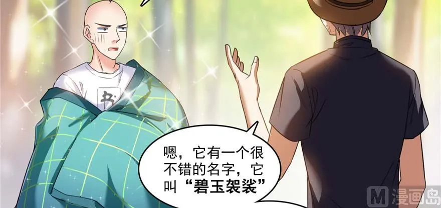 第247话 书航小友，你的袈裟 第44页