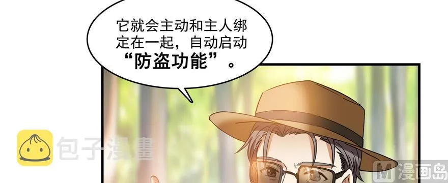 第248话碧玉袈裟的防盗功能 第26页